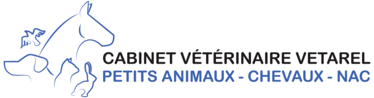 Cabinet Vétérinaire Vetarel — petits animaux, chevaux, NAC — Arlon